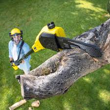 Best Lawn Pest Prevention  in Mattituck, NY